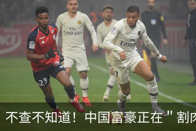 不查不知道！中国富豪正在＂割肉＂补税，卢麒元的话终于有人信了